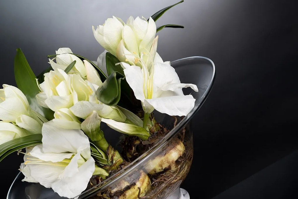 Aranjament floral elegant BOWL KATIA 1141489.95