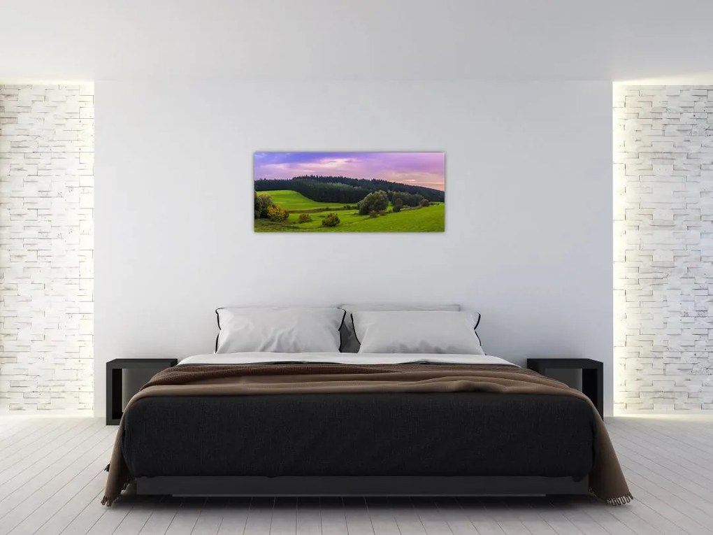 Tablou cu lunca (120x50 cm)