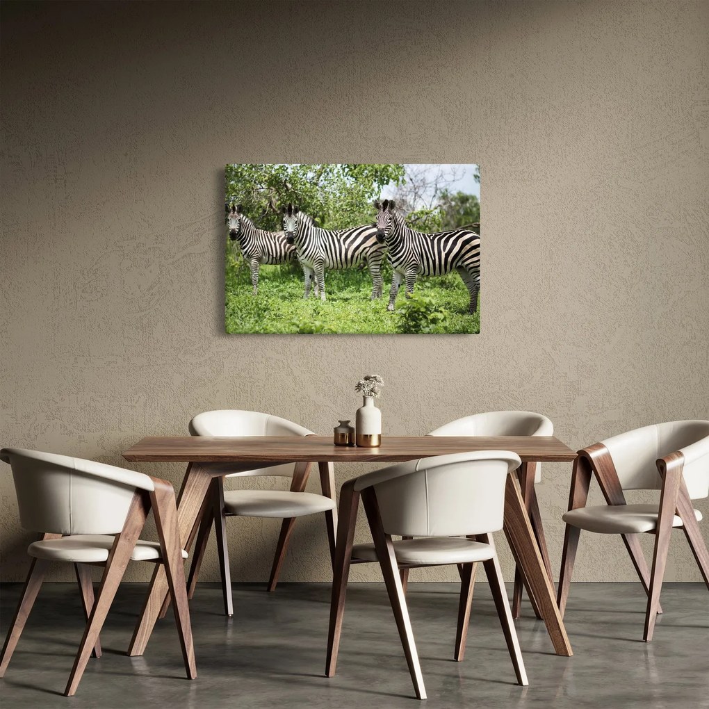 Tablou cu zebre (90x60 cm)