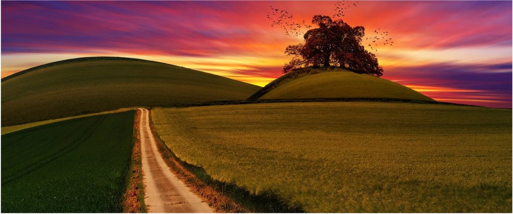 Tablou cu câmp și cerul colorat (120x50 cm)