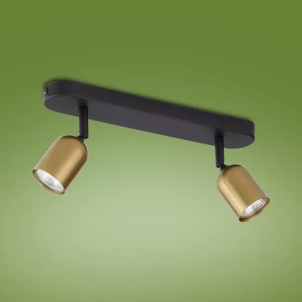 Spot TOP 2xGU10/10W/230V auriu/negru