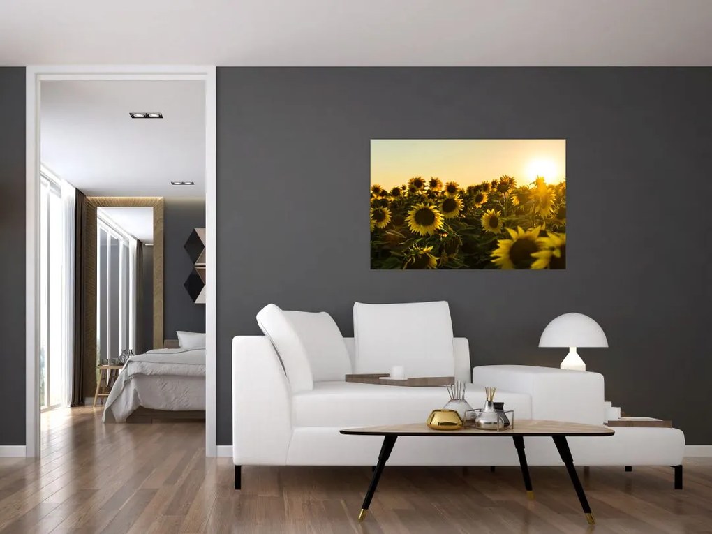 Tablou cu lan de floarea soarelui (90x60 cm)