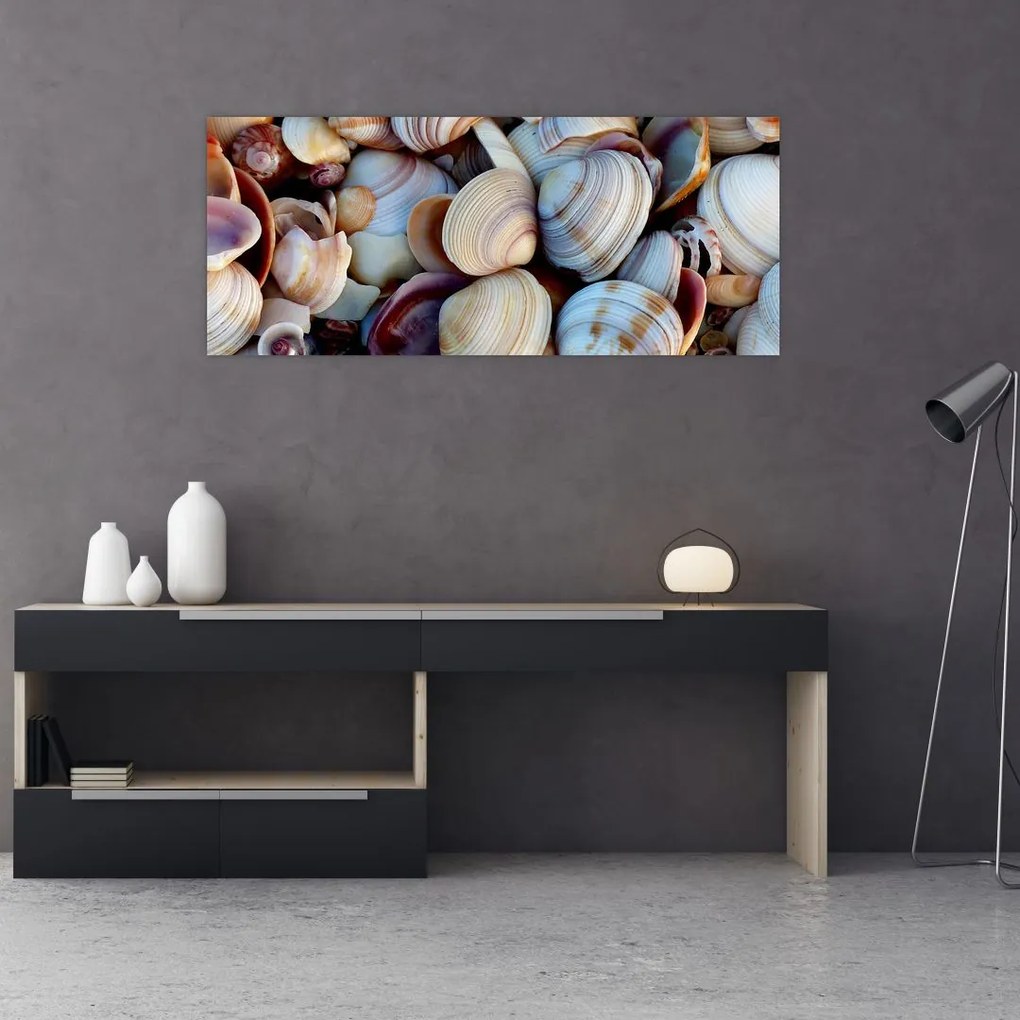 tablou cu scoici (120x50 cm)