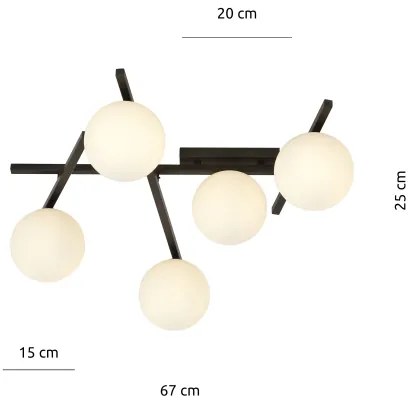 Plafonieră SMART 5xE14/10W/230V negru/alb