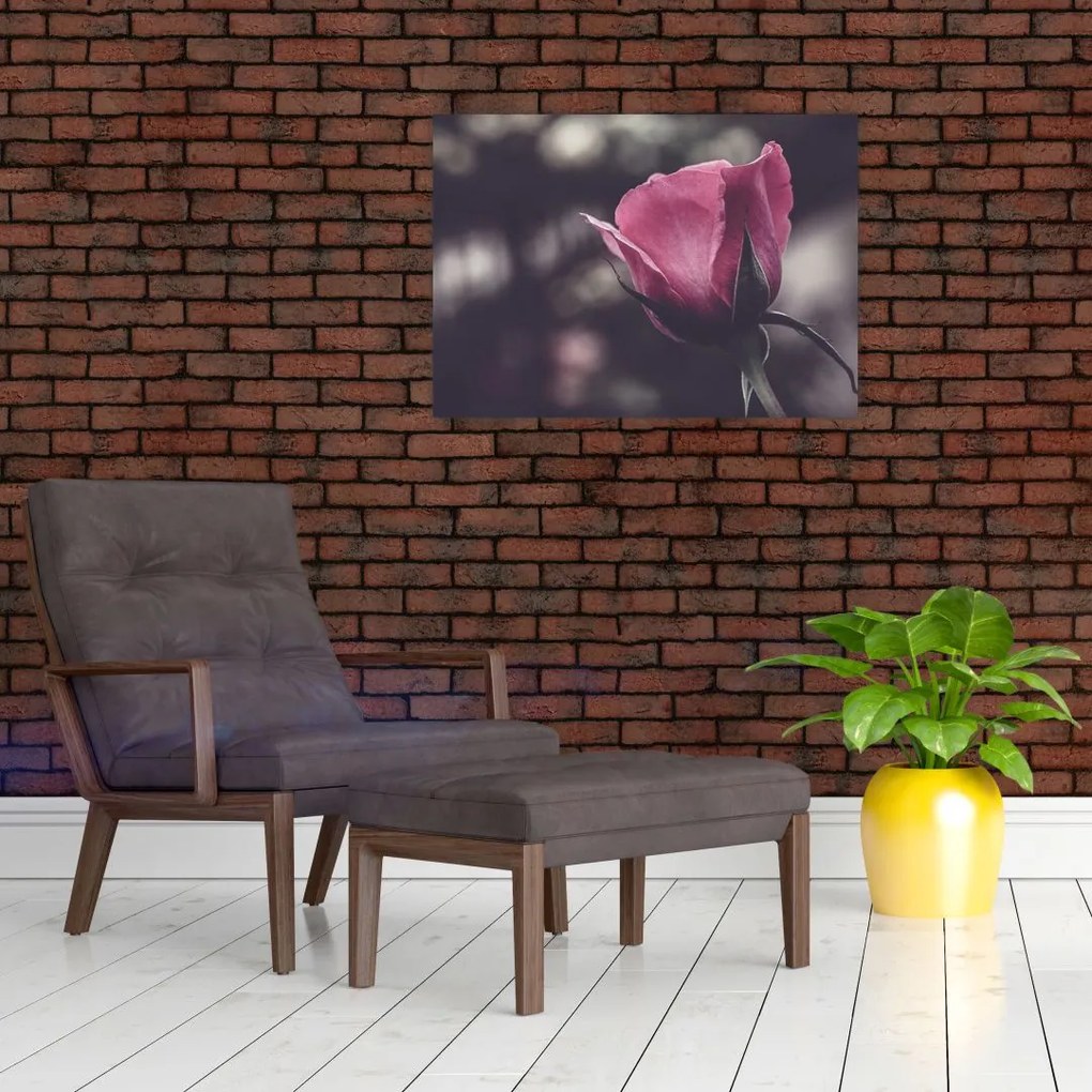 Tablou pe sticlă - Detaliu florii de trandafir (70x50 cm)