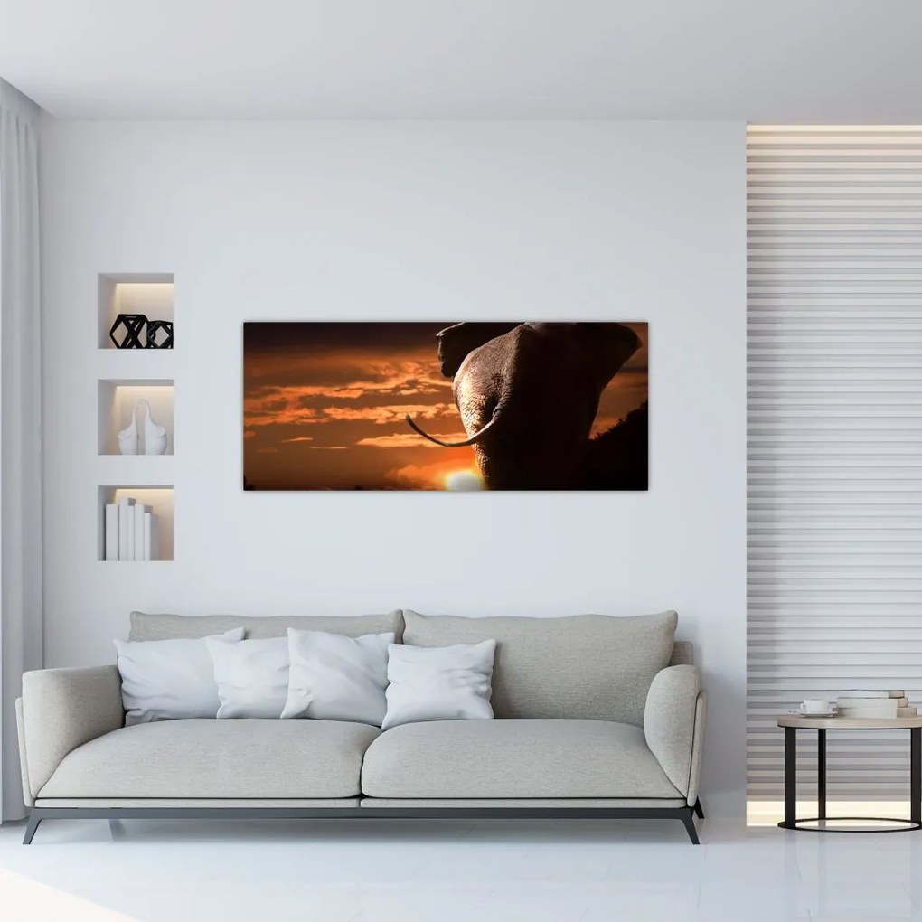 Tablou cu elefant (120x50 cm)