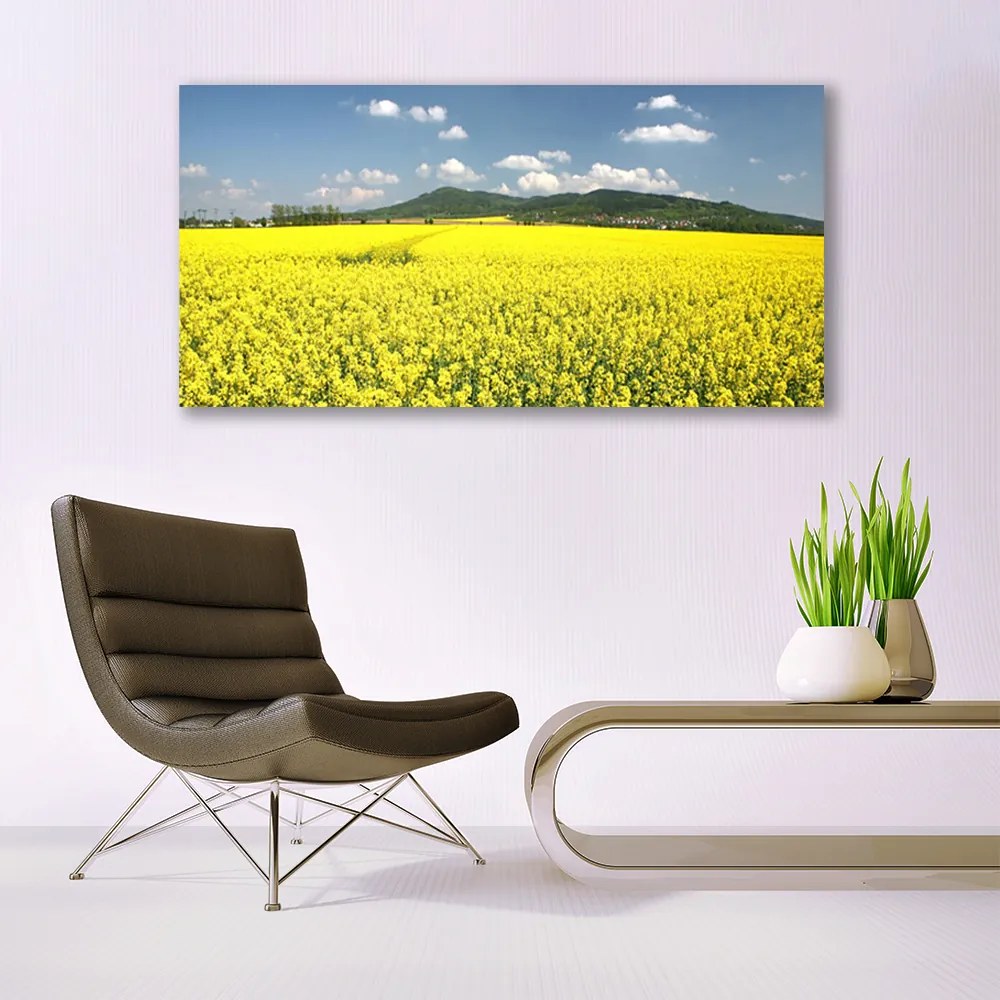 Tablou pe panza canvas Meadow Natura Galben