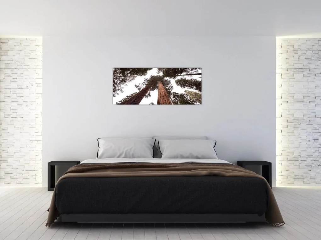 Tablou - Privire prin vârfurile copacilor (120x50 cm)