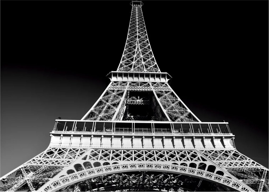 Tablou - Turnul Eiffel, alb-negru (70x50 cm)