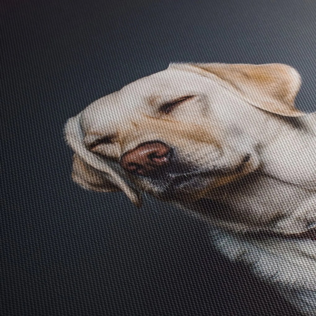 Tablou cu labrador (90x60 cm)