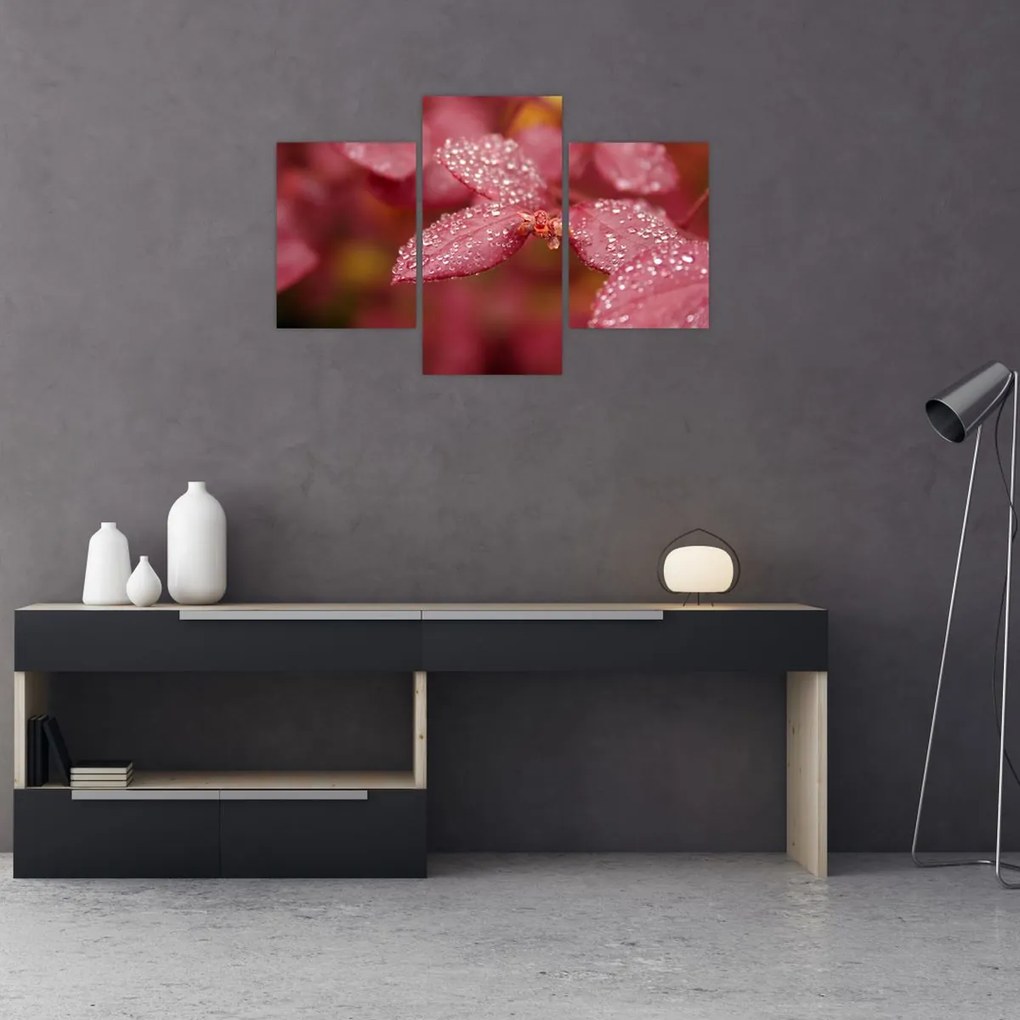 Tablou - Imagine macro a biletului (90x60 cm)