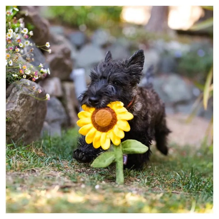 Jucărie pentru câine Sunflower – P.L.A.Y.