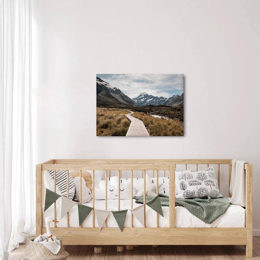 Tablou - Poteca în valea muntelui Mt. Cook (70x50 cm)