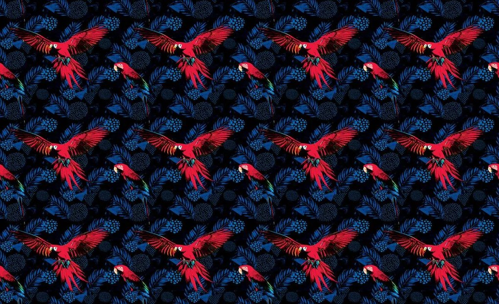 Fototapet - Papagal (152,5x104 cm)