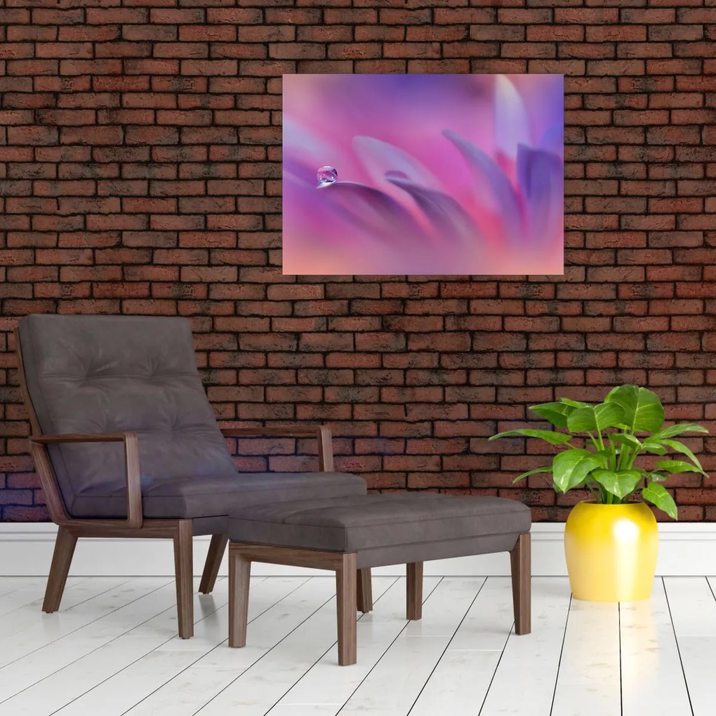 Tablou - Picătură pe floare (70x50 cm)