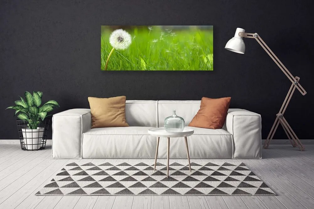Tablou pe panza canvas Pusteblume Iarbă Floral Alb Verde