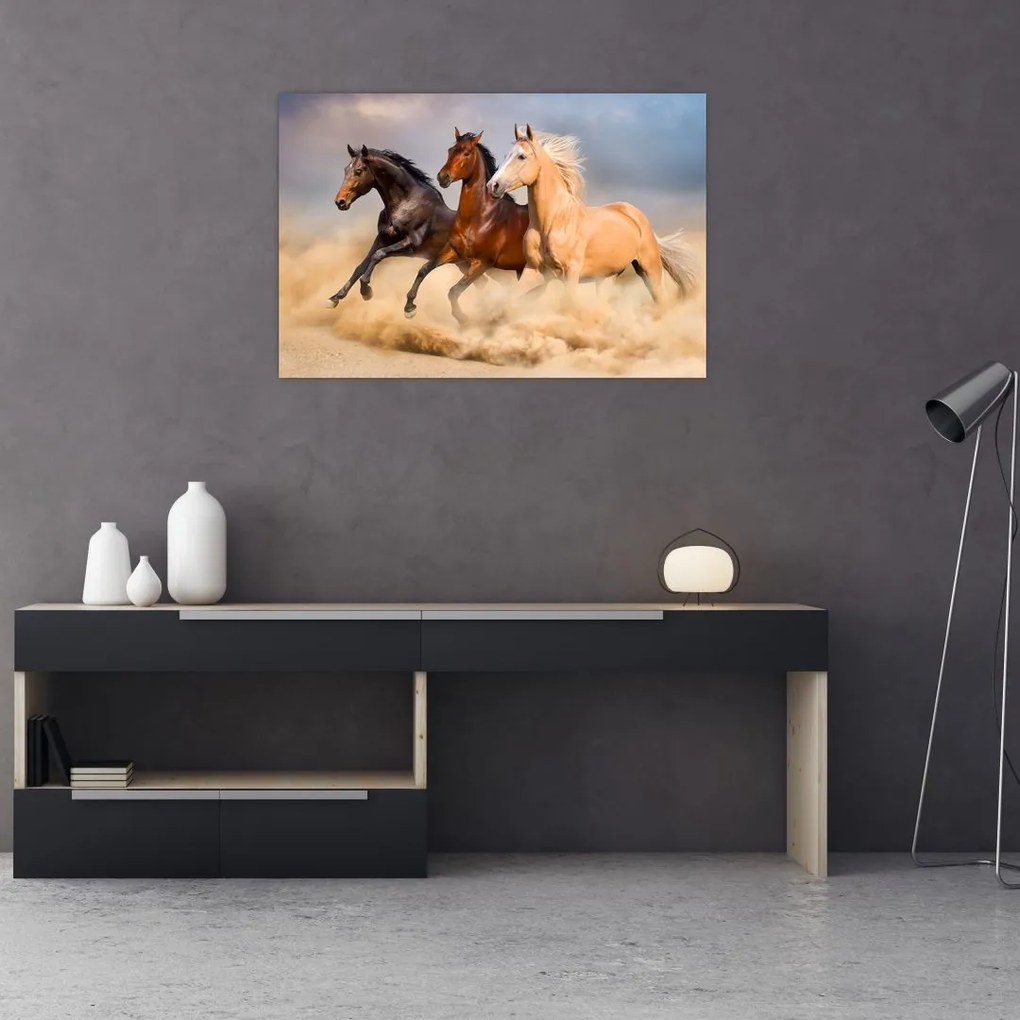 Tablou - Cai sălbatici (90x60 cm)