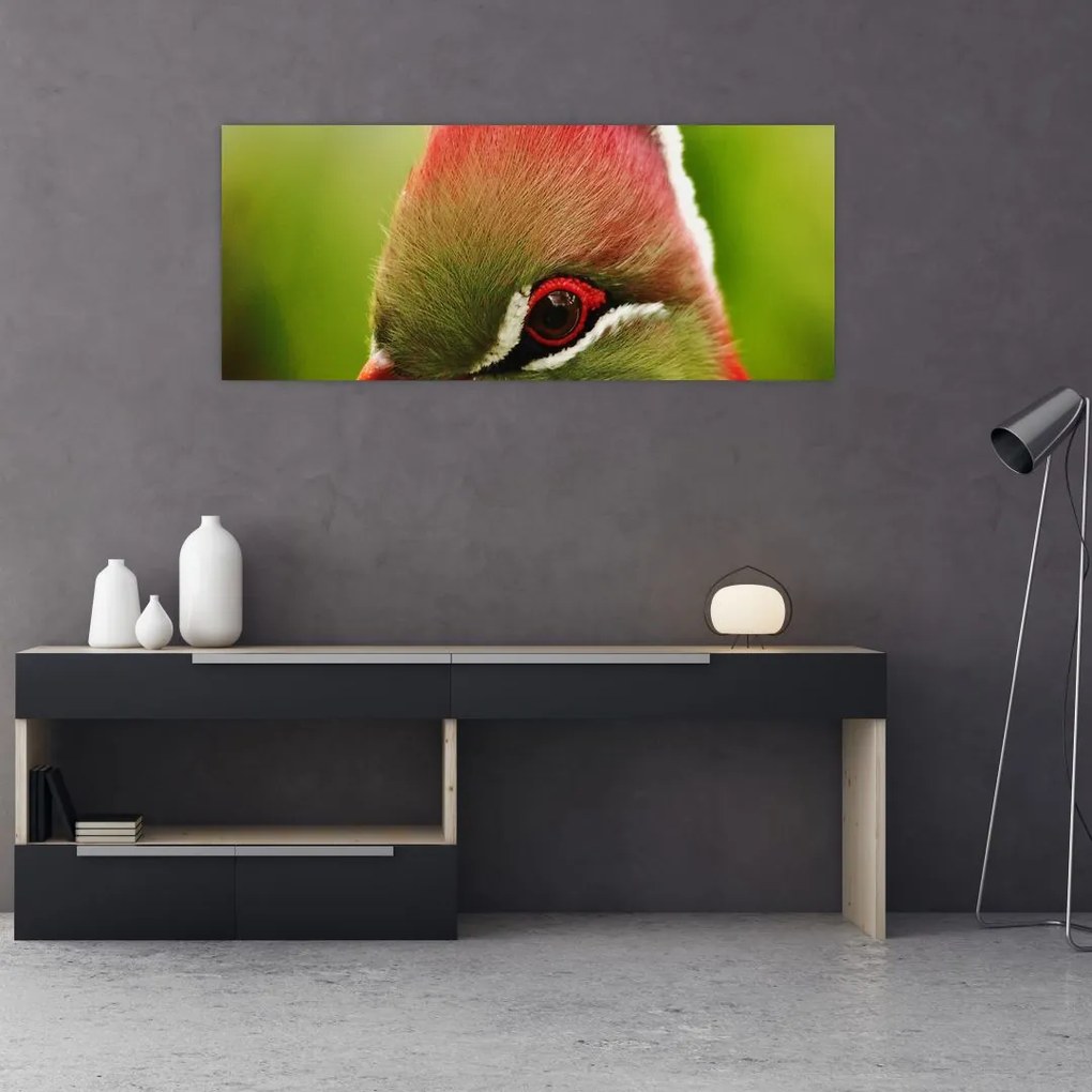 Tablou cu pasărea colorată (120x50 cm)