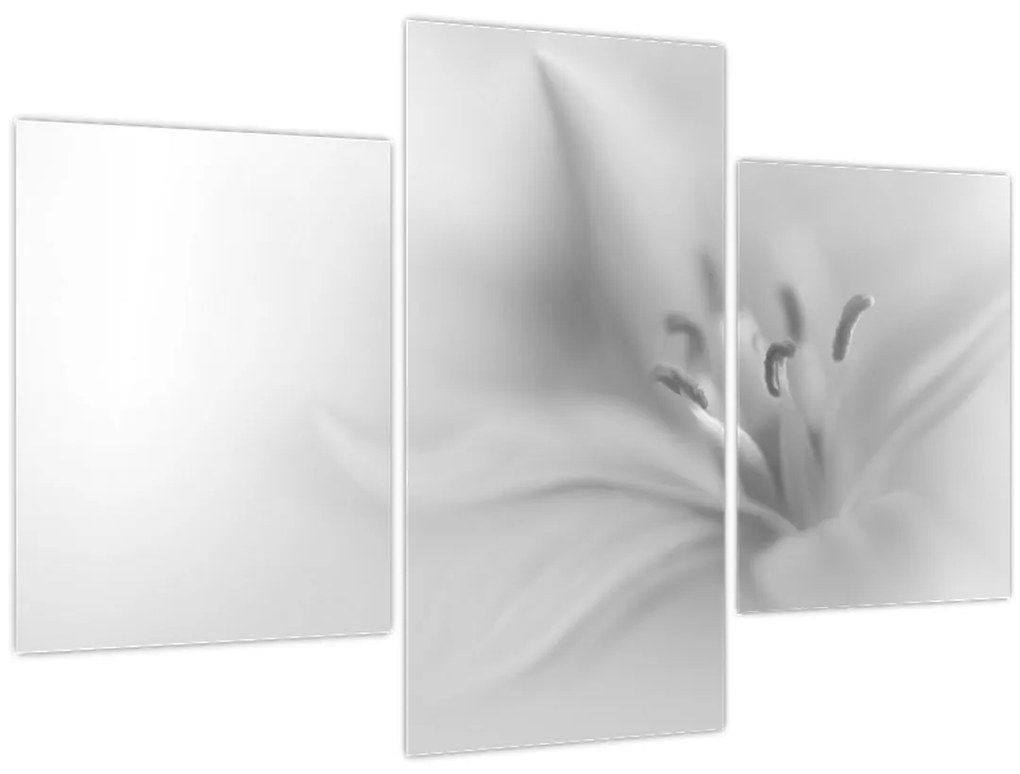 Tablou - Crin delicat (90x60 cm)