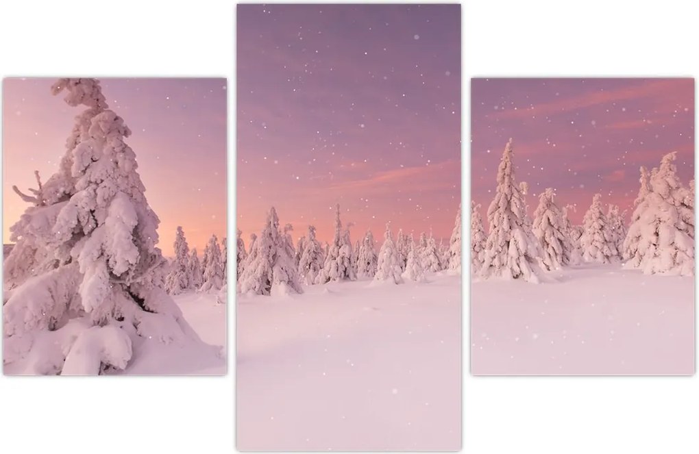 Tablou - Copaci sub așternut de zăpadă (90x60 cm)