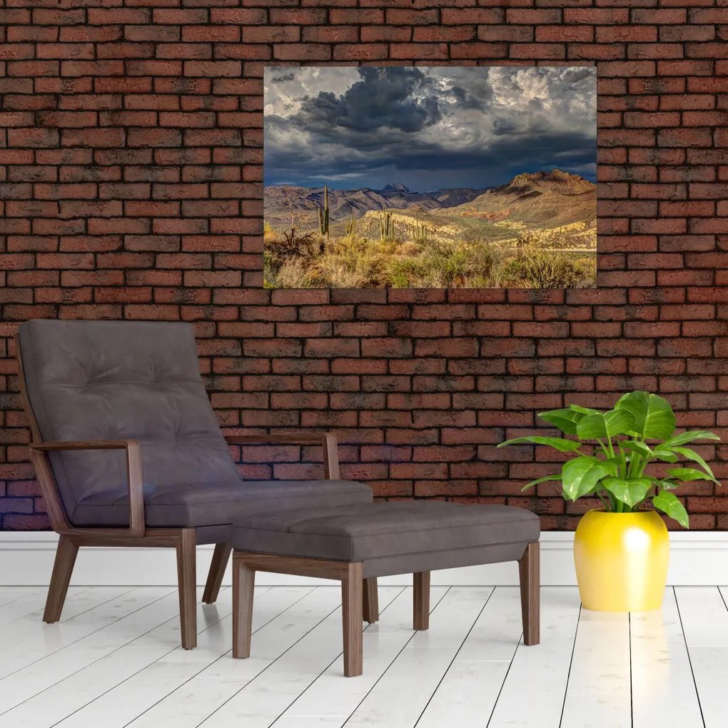 Tablou - cactușii în natură (90x60 cm)
