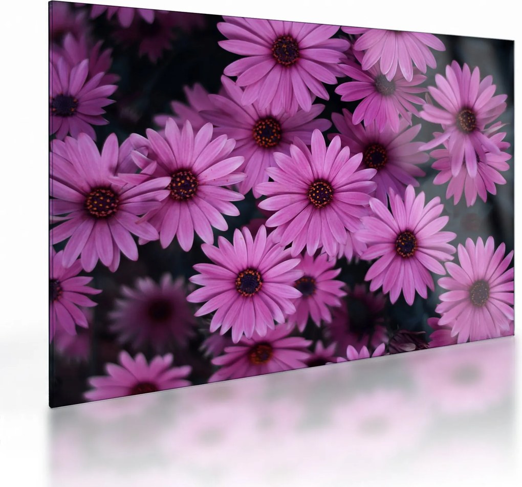 Tablou pe sticlă cu florile roz (70x50 cm)