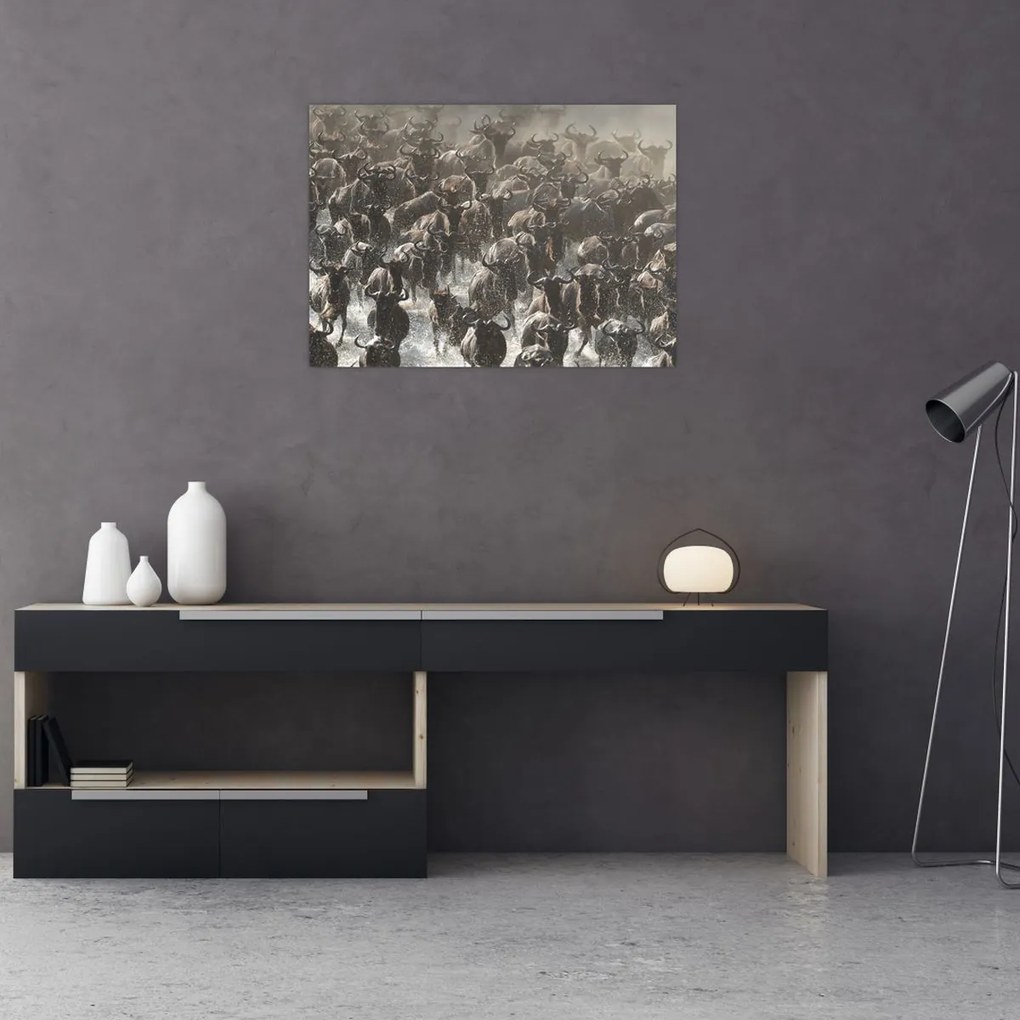 Tablou - Turmă de antilope sălbatice (70x50 cm)