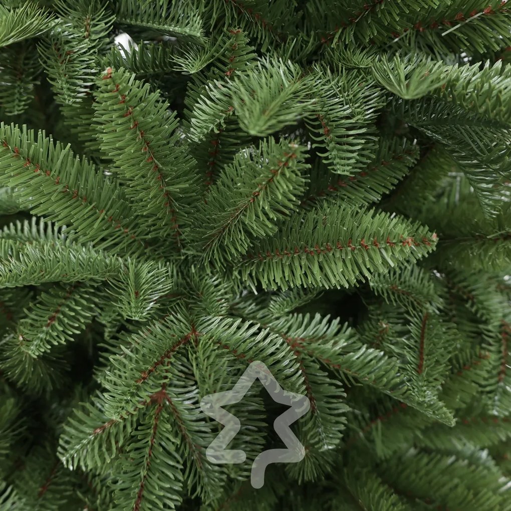 Brad Nordmann 240 cm