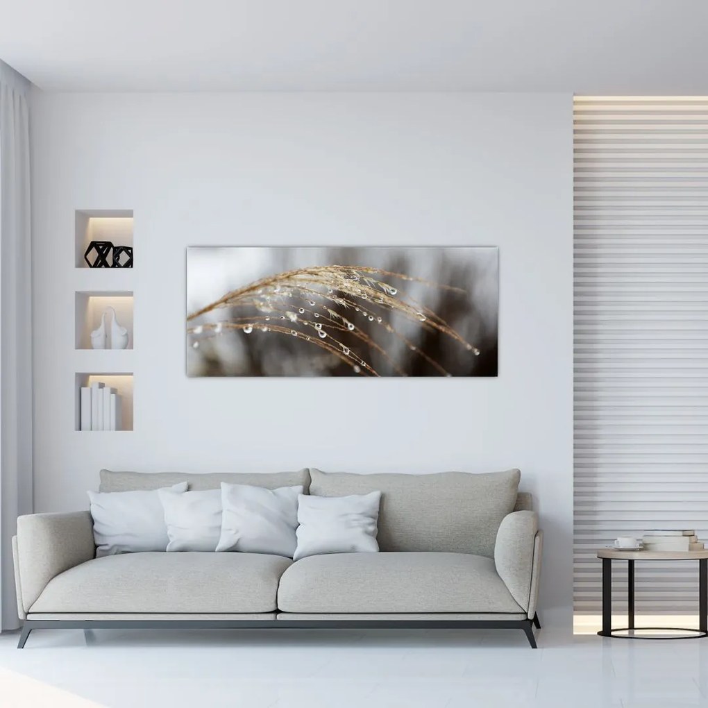 Tablou - Picături pe plantă (120x50 cm)