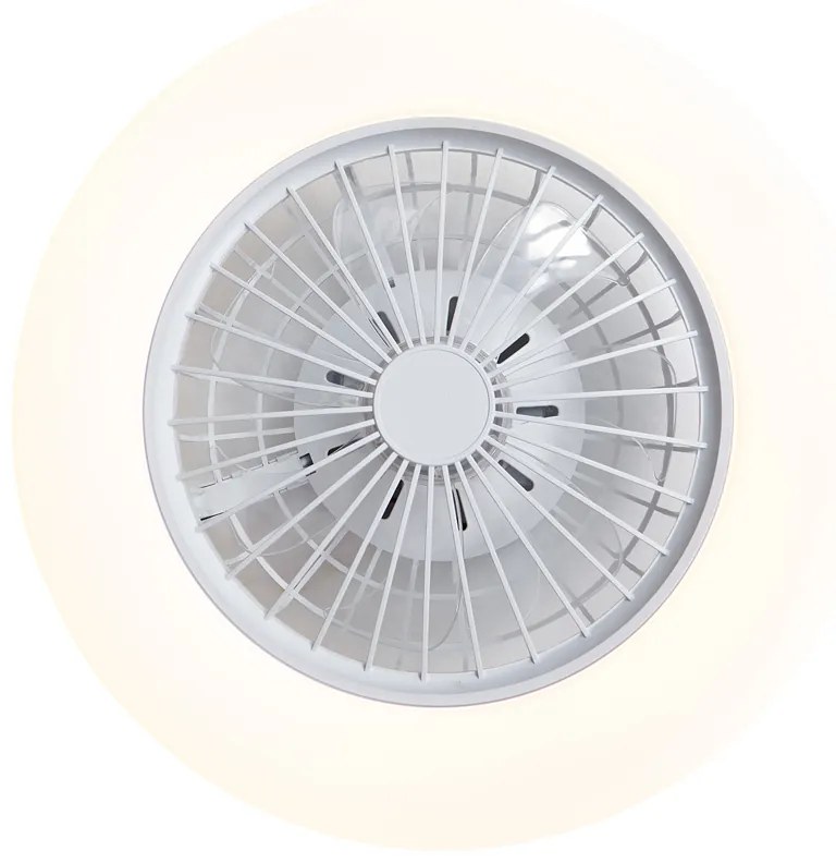 Ventilator de tavan alb 48,5 cm, inclusiv LED RGB reglabil cu telecomandă - Clemo