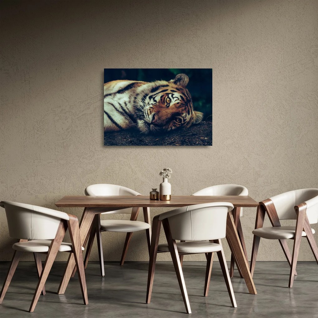 Tablou pe sticlă - Tigrul Siberian (70x50 cm)