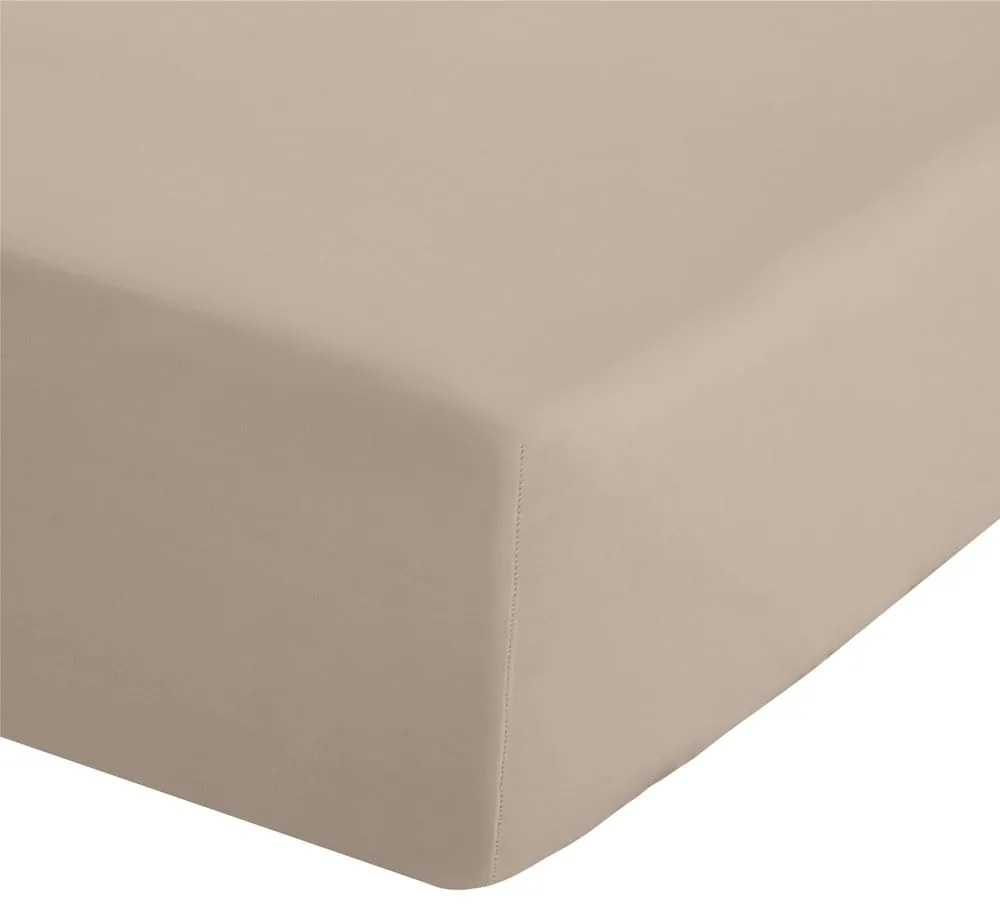 Cearceaf maro deschis din bumbac percale cu elastic 90x190 cm Easy Iron Percale – Catherine Lansfield