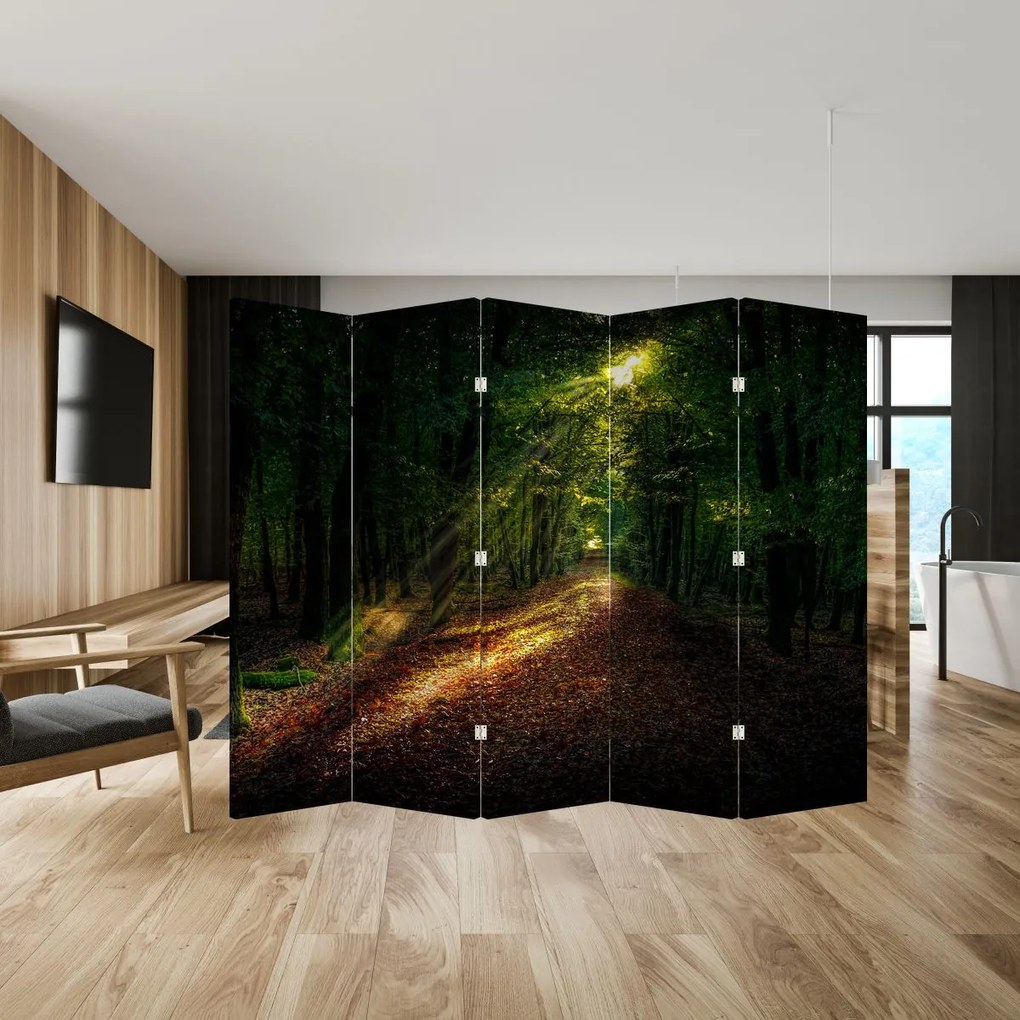 Paravan - Poteca prin pădure (210x170 cm)