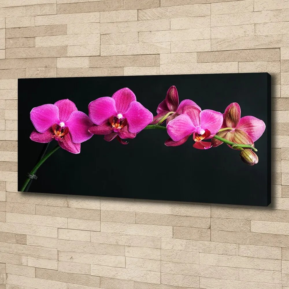 Tablou canvas Orhidee