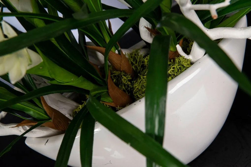 Aranjament floral mediu design LUX SHIP BROMELIA