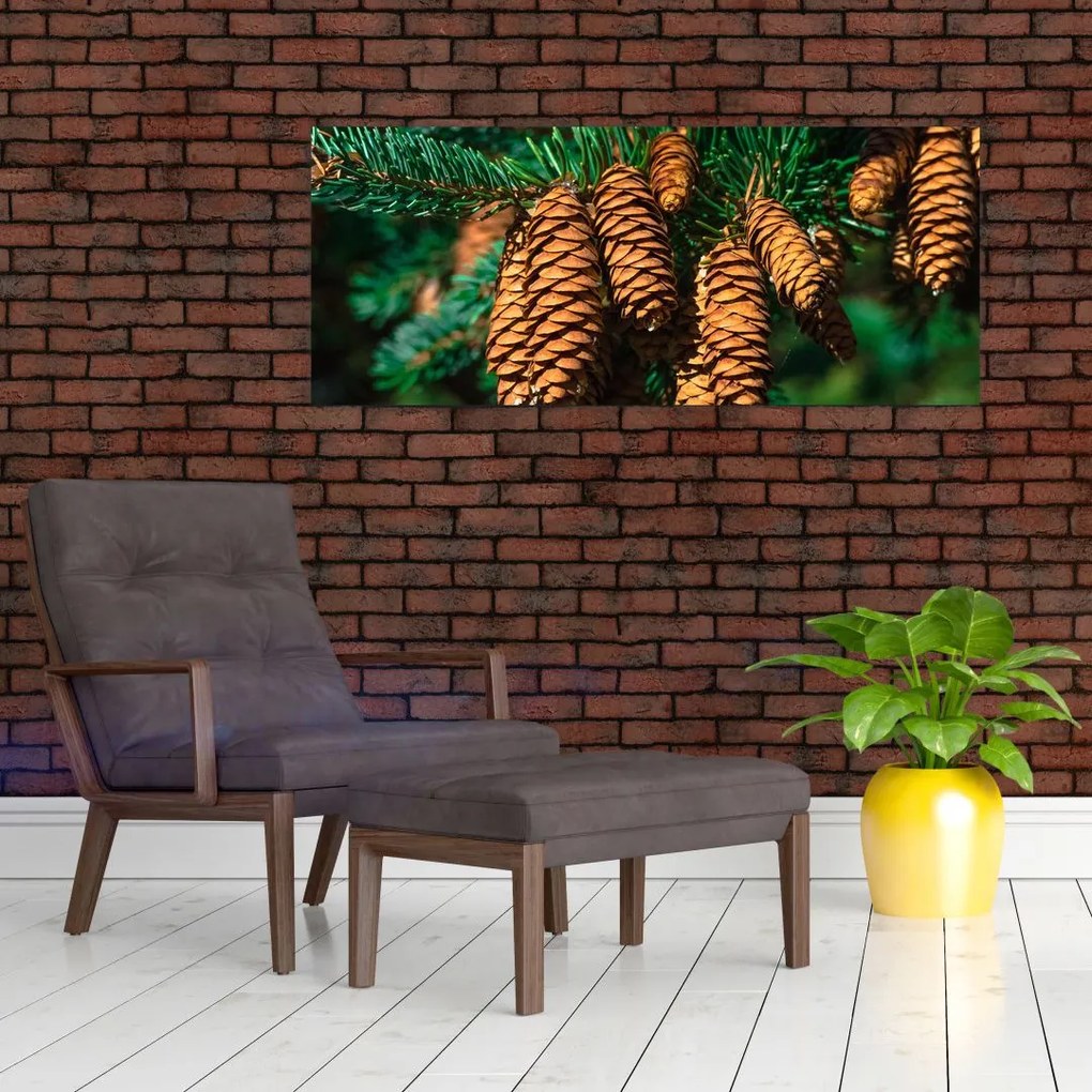 Tablou cu con de brad (120x50 cm)