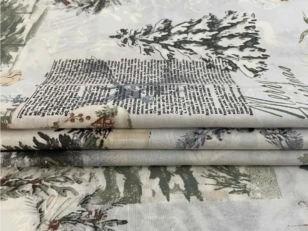 Lenjerie de pat din bumbac WINTER WHISPER colorata Dimensiune lenjerie de pat: 70 x 90 cm | 140 x 200 cm