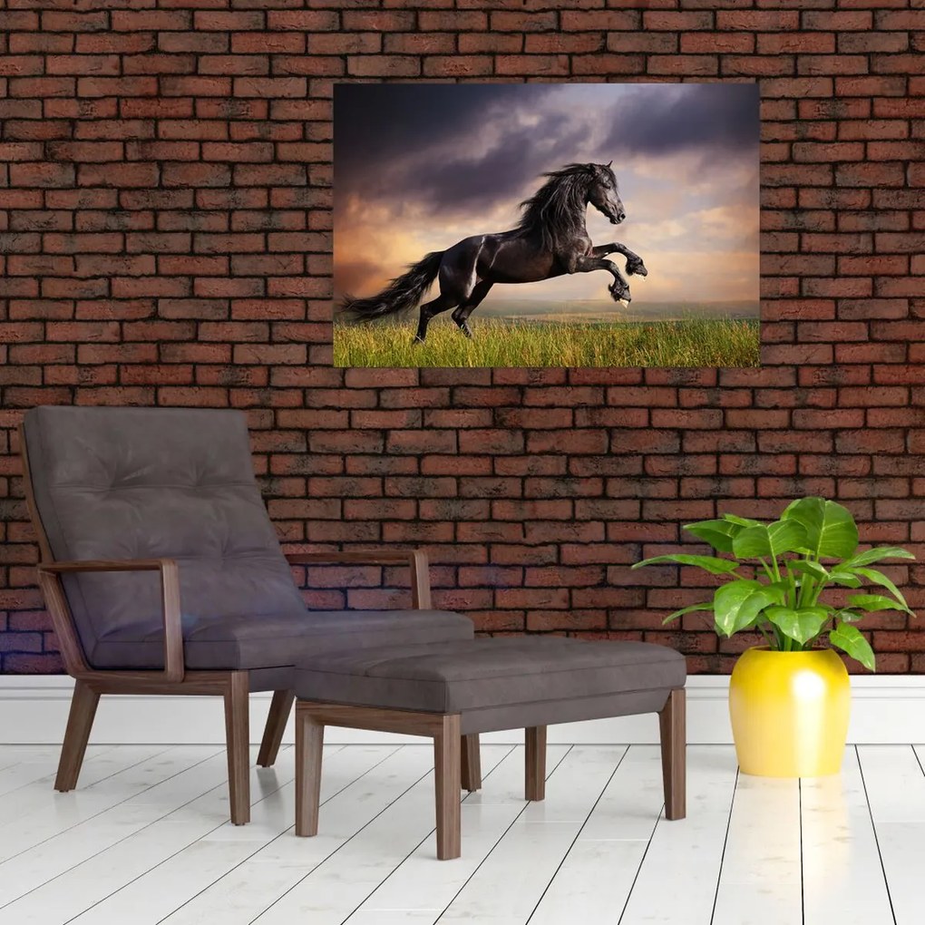 Tablou - Cai (90x60 cm)