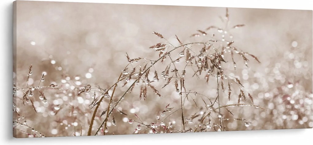 Tablou - Pajiște în tonuri de maro (120x50 cm)