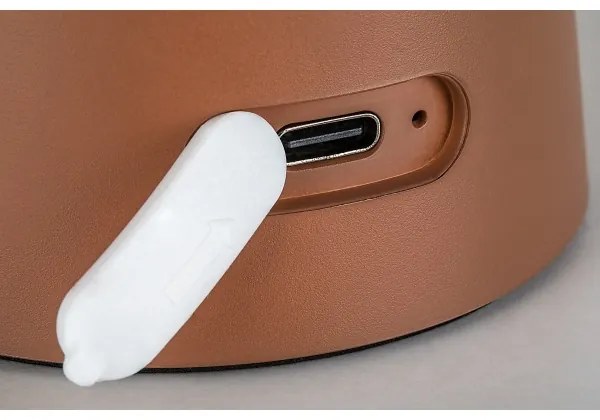 Rabalux 76039 - Lampă LED tactilă dimabilă de exterior MIREO 1,5W/5V IP44 1200 mAh USB maro