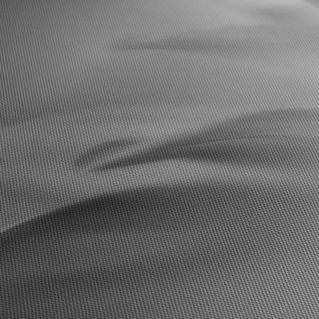 Tablou - Picătură pe floare,alb-negru (cu ceas) (90x30 cm)