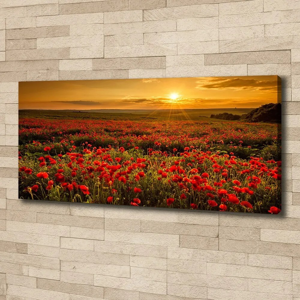 Imprimare tablou canvas Câmp de maci