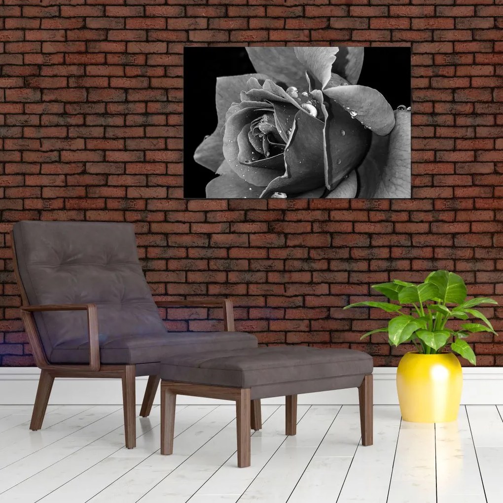 Tablou cu trandafir - albneagră (90x60 cm)
