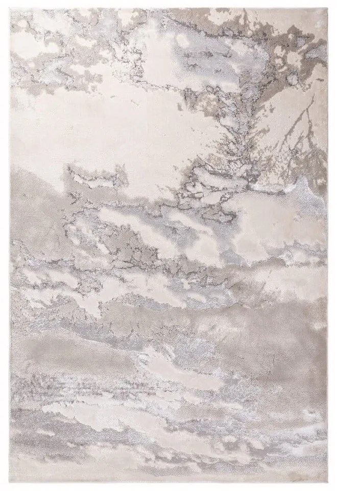 Covor gri 290x200 cm Aurora - Asiatic Carpets