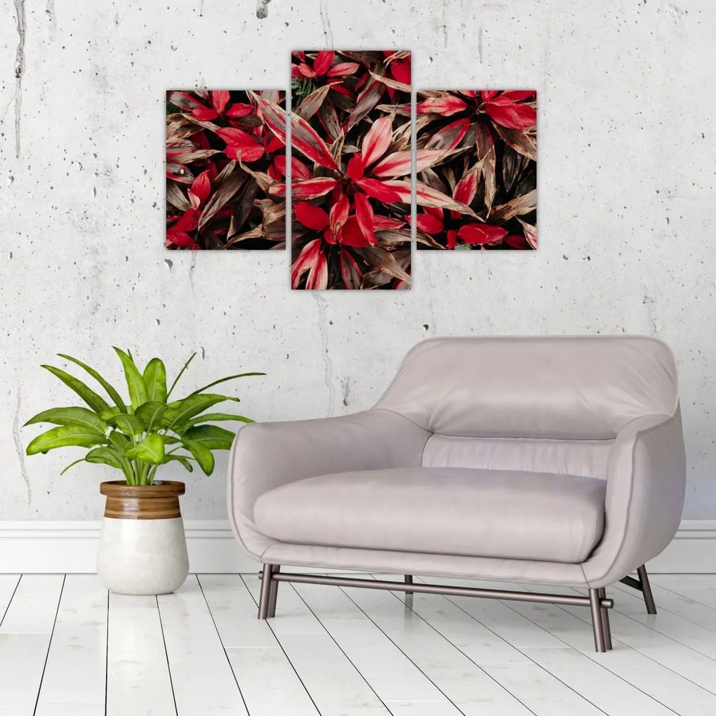 Tablou - Petale roșii (90x60 cm)