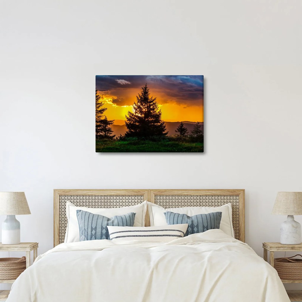 Tablou - coniferi (70x50 cm)