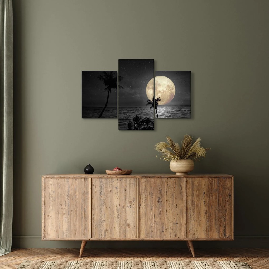 Tablou - Plaja cu lună plină, nuanțe gri (90x60 cm)