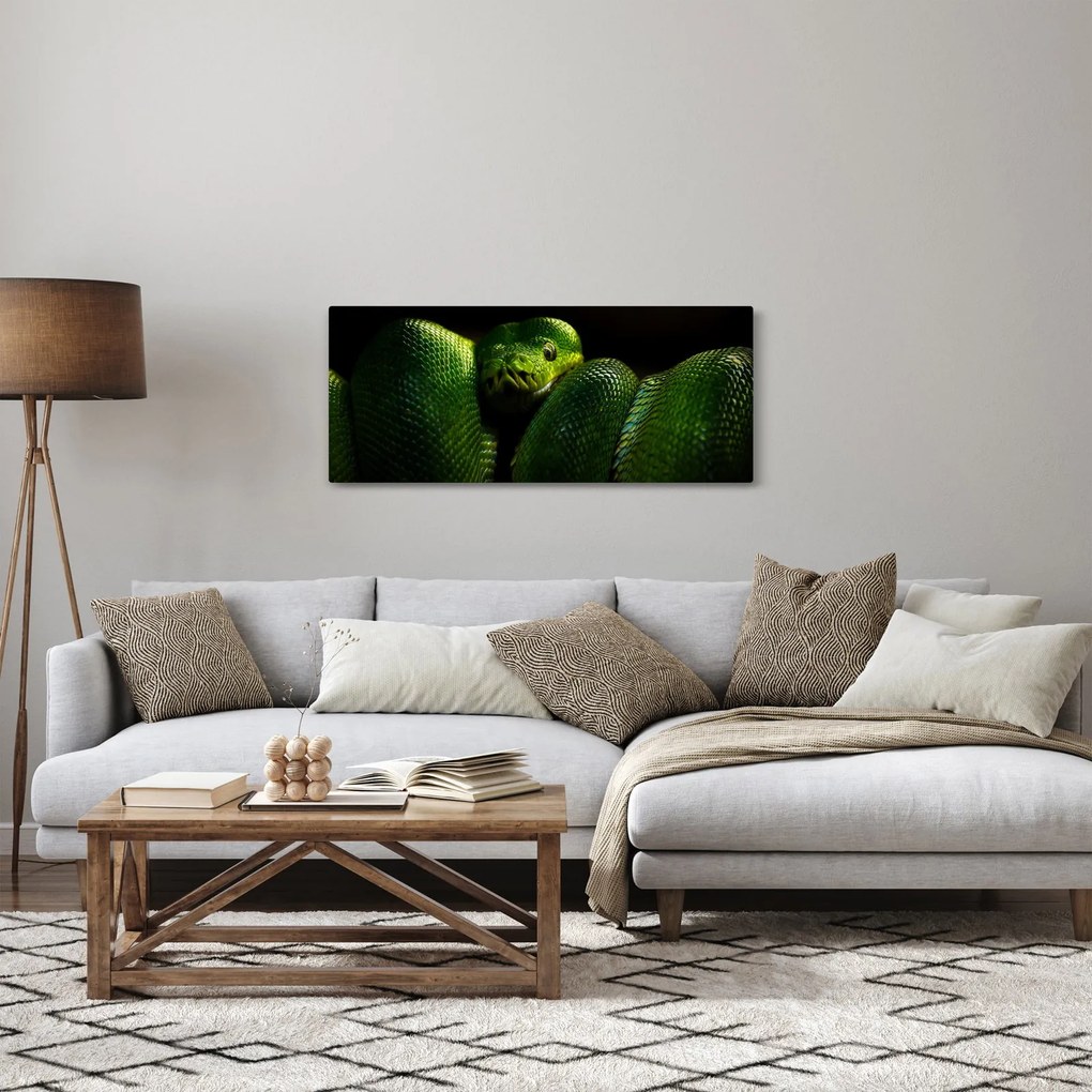 Tablou - Șarpele verde (120x50 cm)