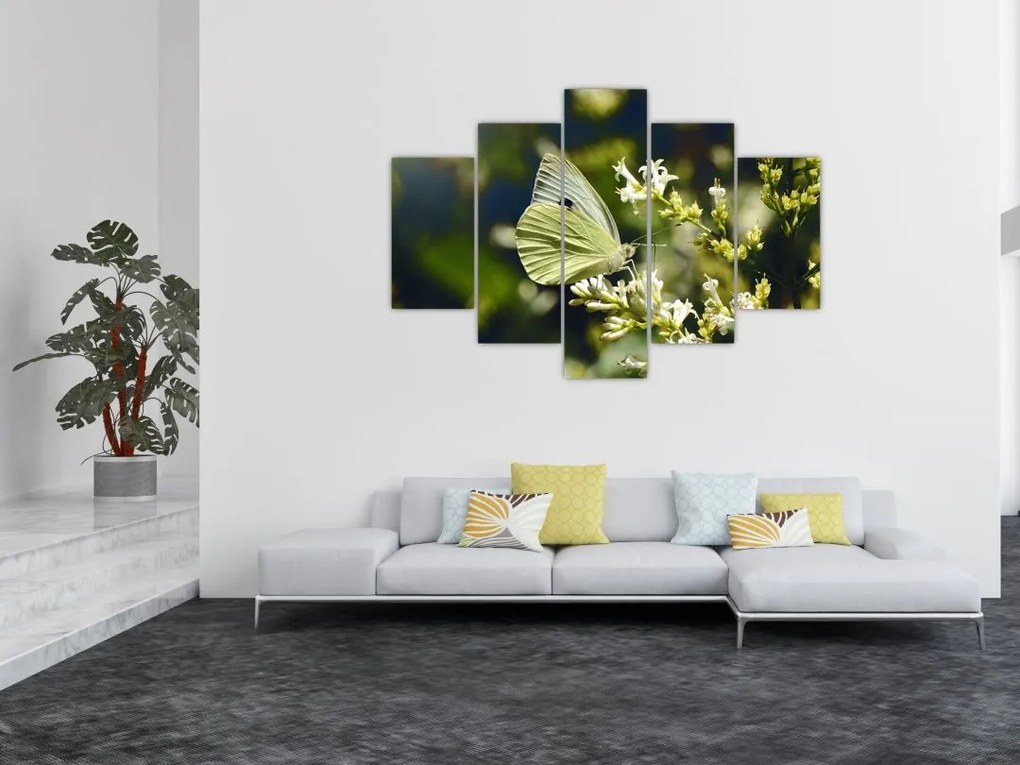 Tablou cu fluture (150x105 cm)