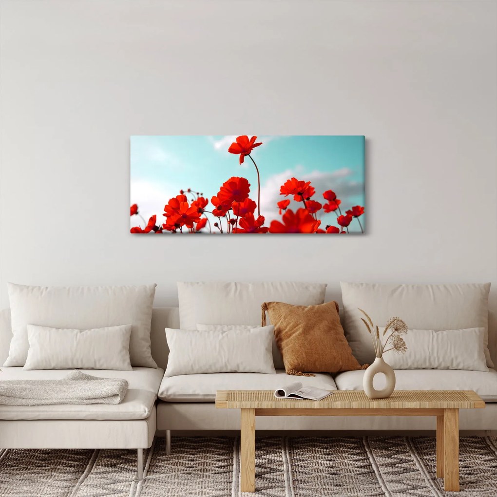 Tablou - Câmp cu flori roșu deschis (120x50 cm)